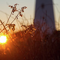 Sunrise Backlight